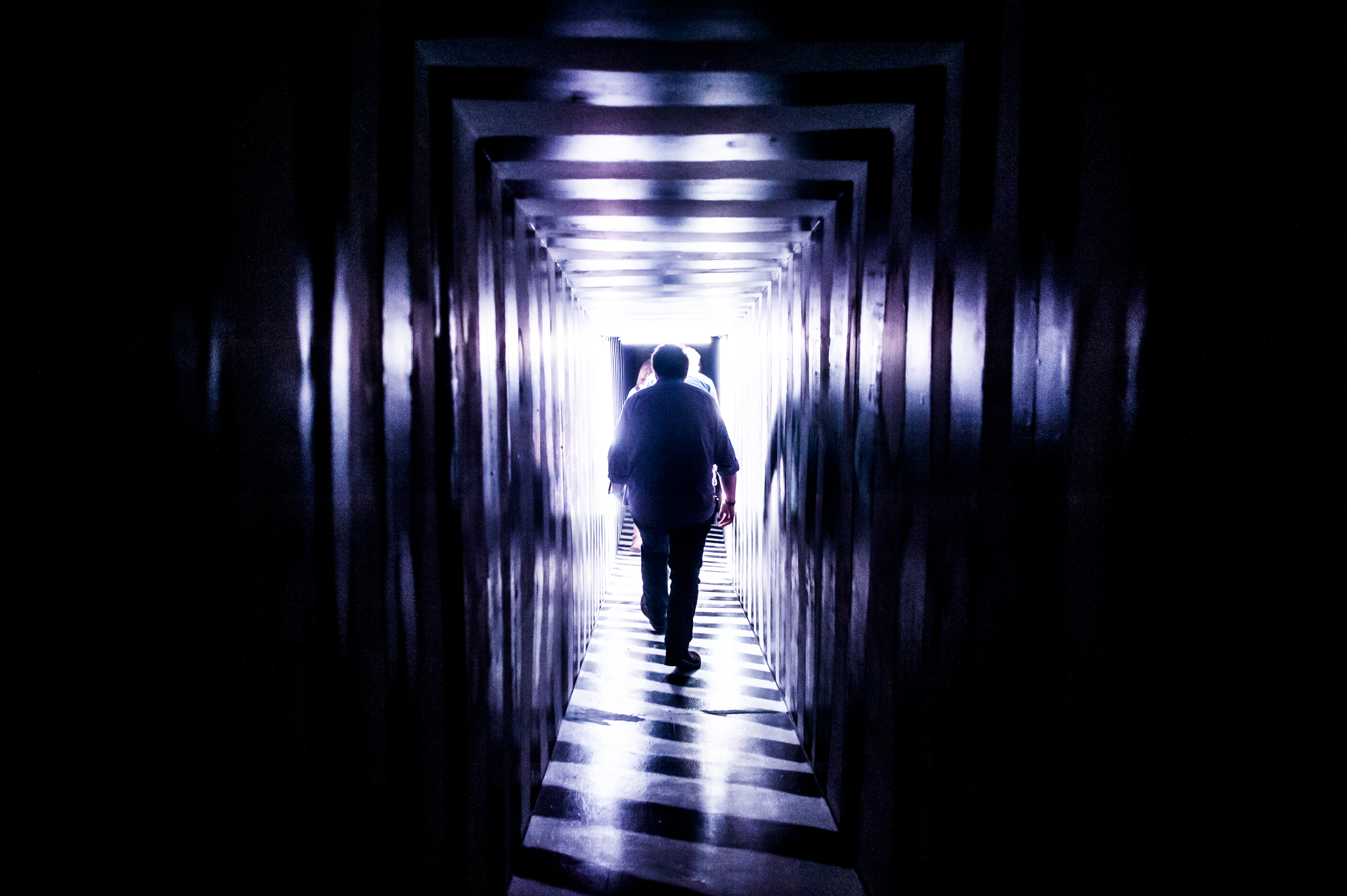 Goosebumps Alive! — image 2